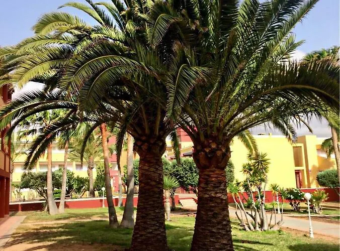 Fuerteventura - La Caleta, Parques Holandes * La Oliva