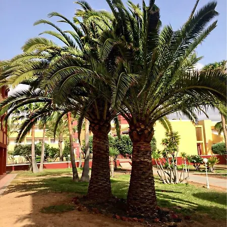 Fuerteventura - La Caleta, Parques Holandes * 라 올리바